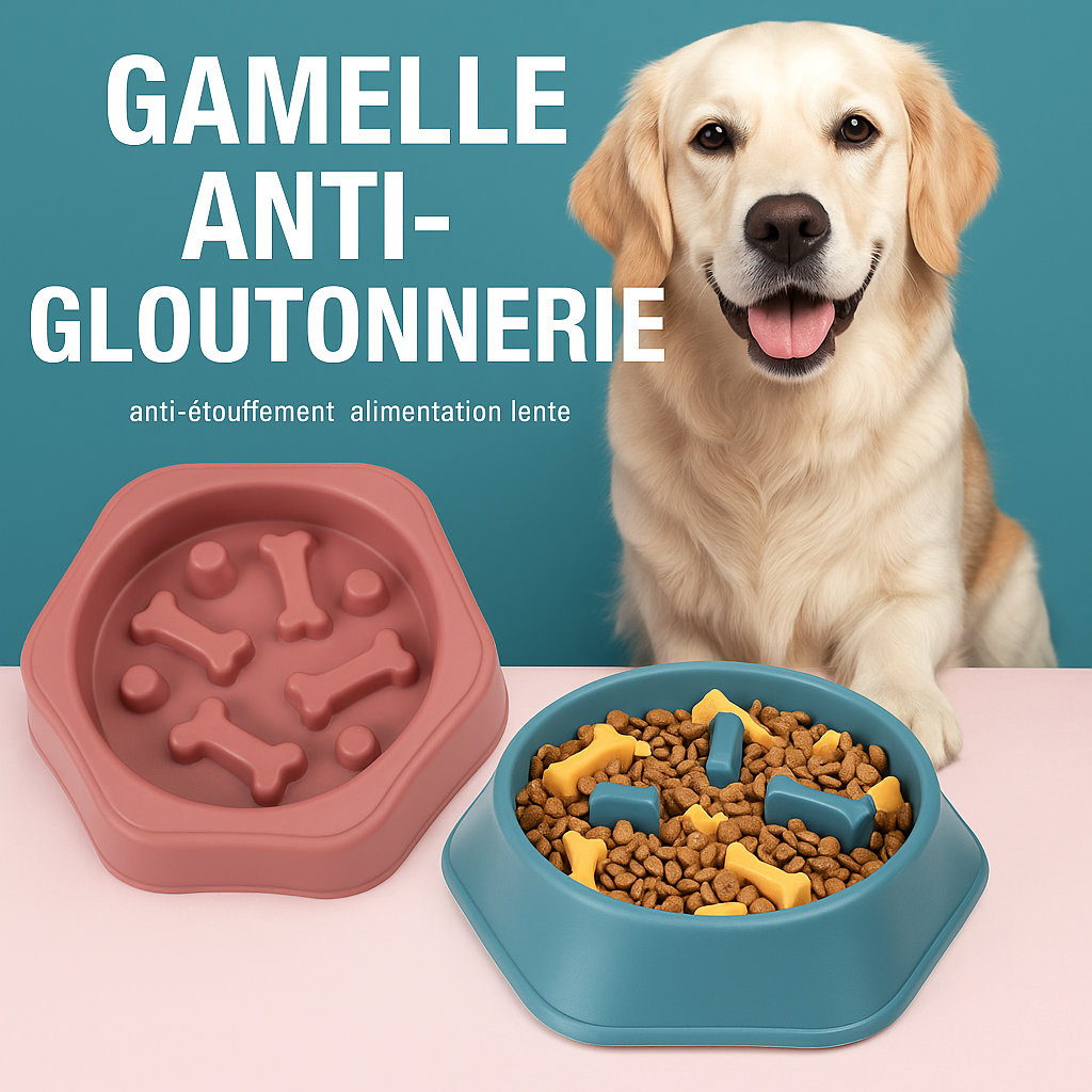 Bol Anti-Glouton